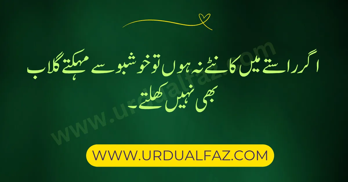 Motivational-Quotes-in-Urdu-08