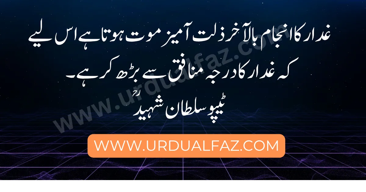 quotes-in-urdu-24