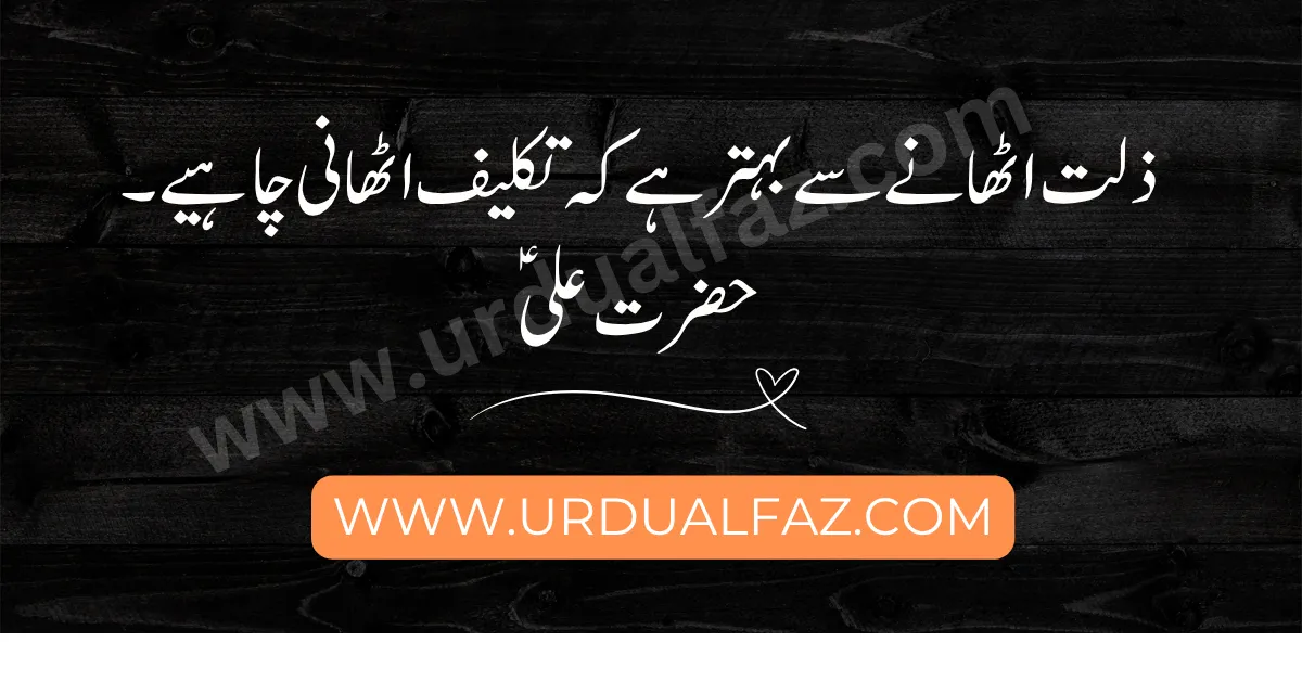 quotes-in-urdu-25
