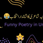 funny-shayari