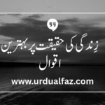 quotes in urdu about life reality