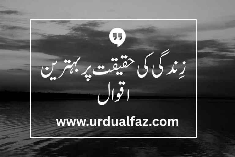 quotes in urdu about life reality